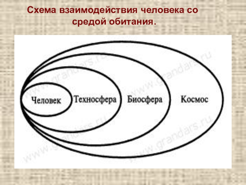 Расположите в правильном порядке элементы схемы взаимодействия человека со средой обитания