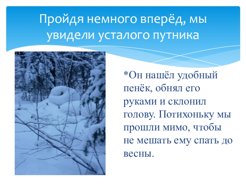 Прошло немного. Загадки зимнего леса. Загадки про зиму в лесу. Лесные зимние загадки. Загадка про зимний лес.