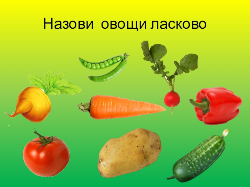 Что называется овощным