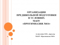 Презентация опыта работы по организации предшкольной подготовки