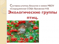 Презентация по биологии на тему Экологические группы птиц