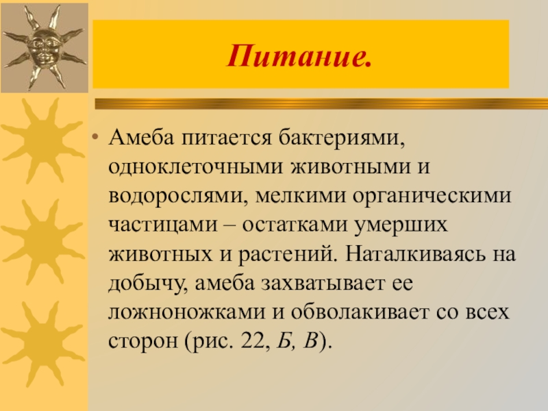 Молекула. Органические частицы. Естественные и искусственные вещества. Органическая частица. Устойчивость промежуточных частиц.