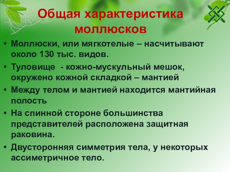 Презентация тип моллюски 7 класс биология общая характеристика