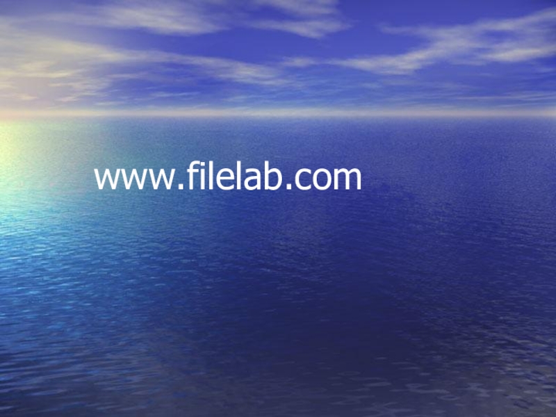 www.filelab.com
