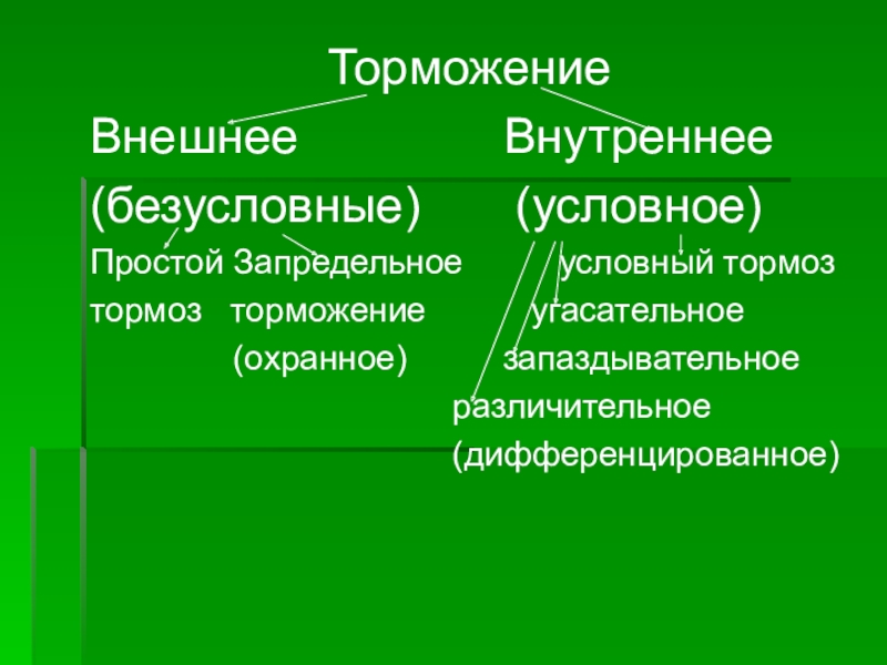 Вид безусловно. Внешнее и внутреннее торможение. Внутреннее в нешне торможение. Внешнее и внутреннее торможение условных рефлексов. Внешнее торможение и внутреннее торможение.