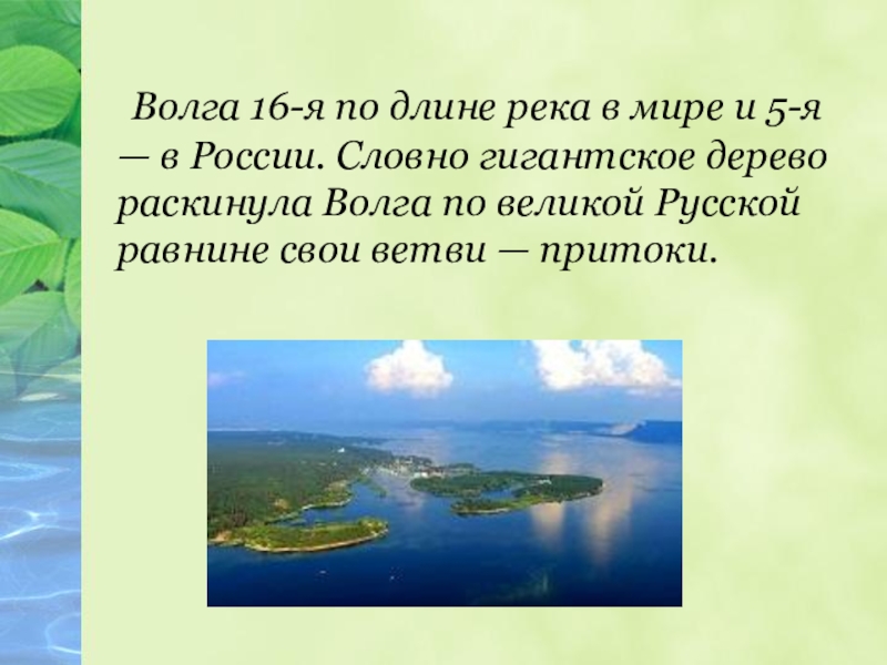 Волга 16-я по длине река в мире и 5-я — в России. Словно гигантское дерево раскинула