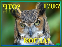 Презентация по биологии на тему Млекопитающие .Игра Что? Где? Когда?