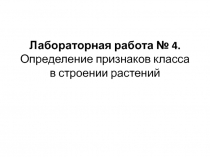 Презентация по биологии на тему Лаб.раб. №4 (6 класс)