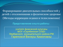 Презентация Представление опыта работы