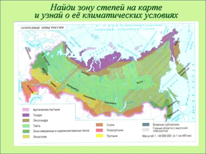 План изучения природной зоны 4 класс окружающий мир степи