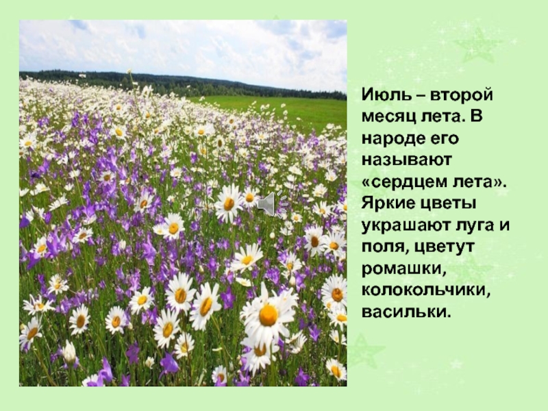 Июль – второй месяц лета. В народе его называют «сердцем лета». Яркие цветы украшают луга и поля,