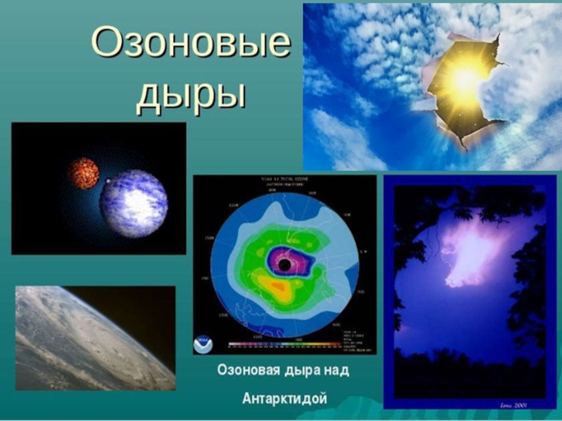 Презентация человек изменил землю 5 класс презентация по биологии