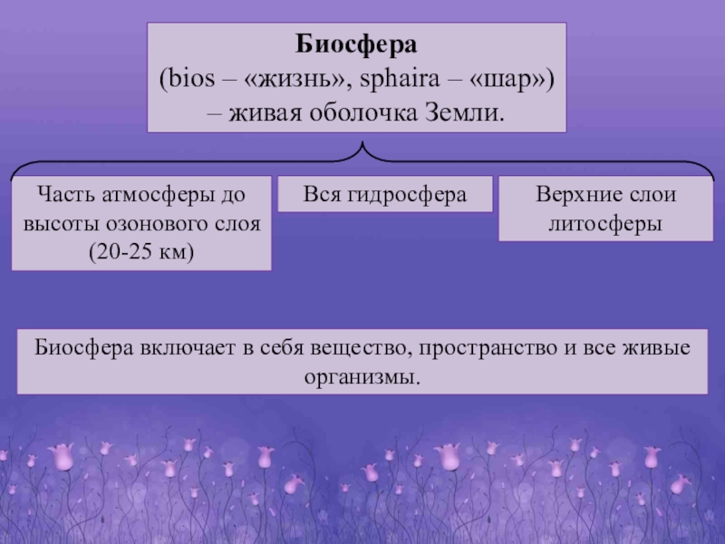 Учение о биосфере презентация 10 класс презентация