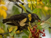 Презентация к уроку музыка в 1 классе 1 четверть