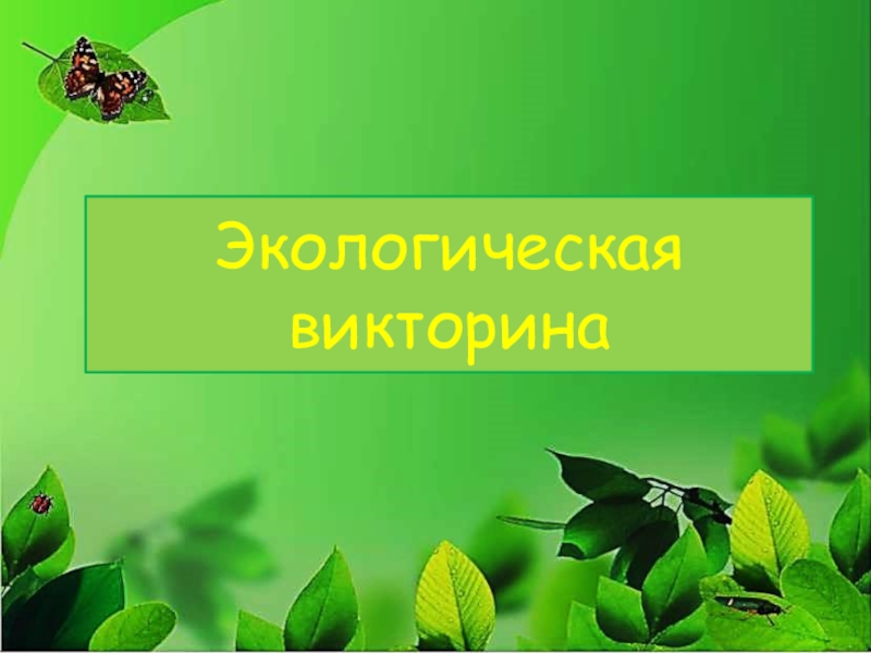 Какие бывают презентация 2 класс. Какие бывают животные 2 класс окружающий мир. Презентация по теме 