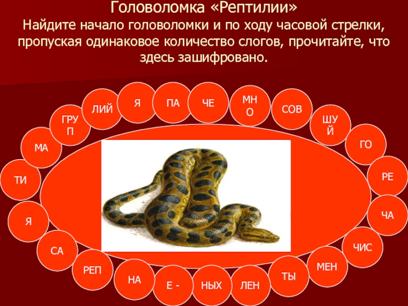 Игра презентация по биологии 10 класс