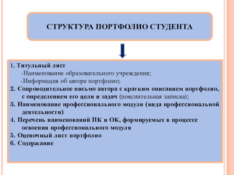 Портфолио студента педагогического