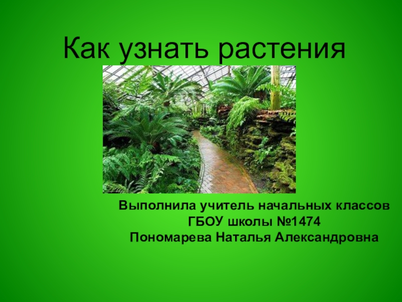 Узнать растение. Благодарность растениям. Доклад благодарность растениям. Как узнать растения зелёная тропинка. Как узнать растения зелёная тропинка презентация.