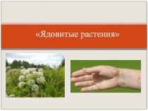 Презентация по биологии Ядовитые растения