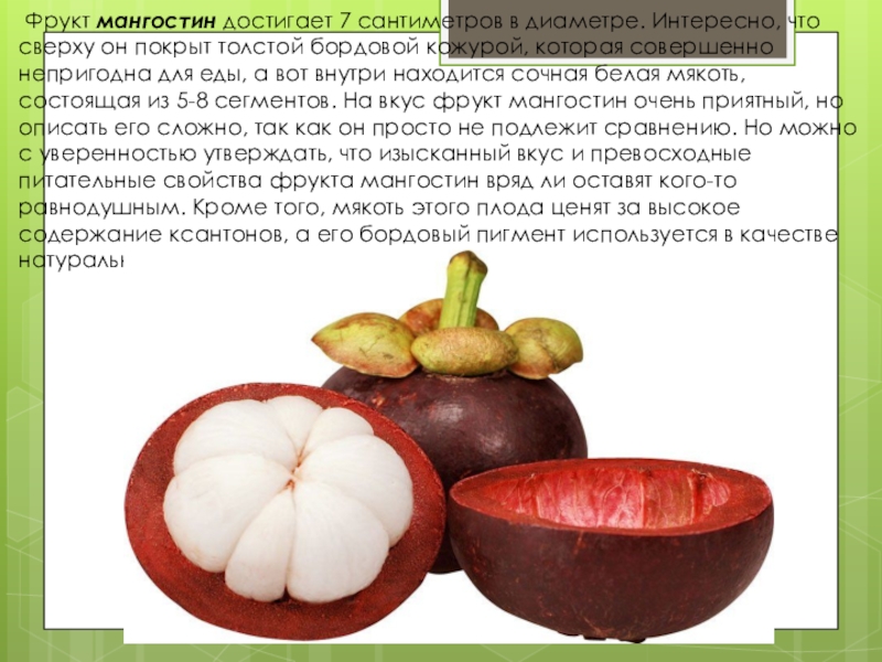 покрыты толстой кожицей. мангостин описание фрукта. поверхность кожи покрыта. покрыты толстой кожицей.