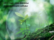 Презентация. Защитим зелёную аптеку