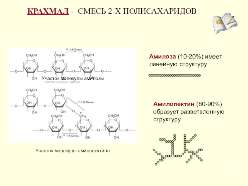 Молекула полисахарида. Амилопектин полисахарид. Крахмал формула структурная амилоза и амилопектин. Разветвленная структура крахмала. Схема строения полисахаридов.