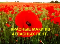 Презентация занятия  Красные маки