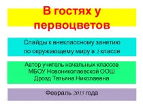 Слайды к внеклассному занятию по окружающему миру в 1 классе на тему В гостях у первоцветов