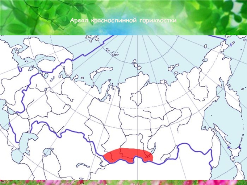 Ареал рыси в россии карта