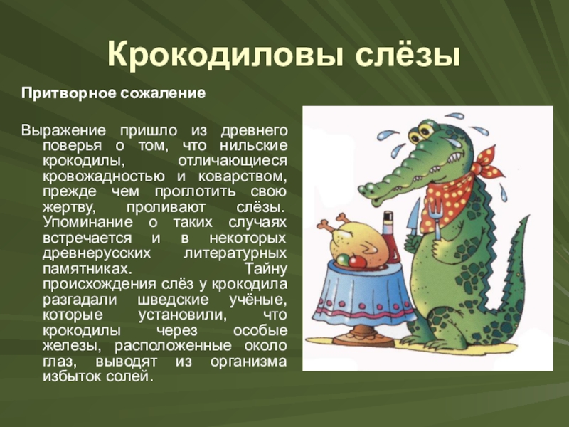 Проект по русскому языку 6 класс на тему фразеологизмы с названиями животных