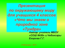 Презентация по окружающему миру для 4 класса по теме Что мы знаем о природной зоне Тундра