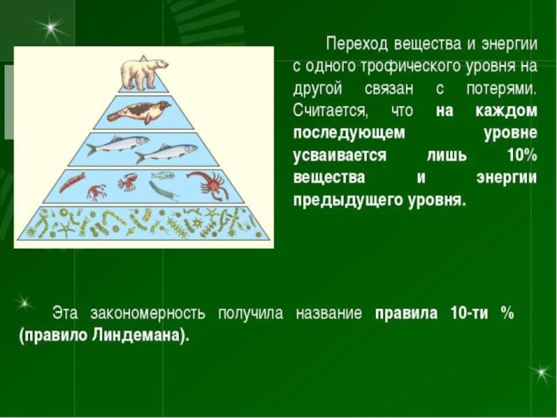 Переходящий уровень. Переход энергии с одного трофического уровня на другой. Трофический уровень и другие. Передача энергии с одного трофического уровня на другой. При переходе с одного трофического уровня на другой.