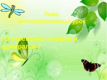 Интегрированный урок О стрекозах, нимфах и адмиралах