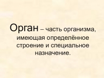 Презентация по окружающему миру Органы чувств