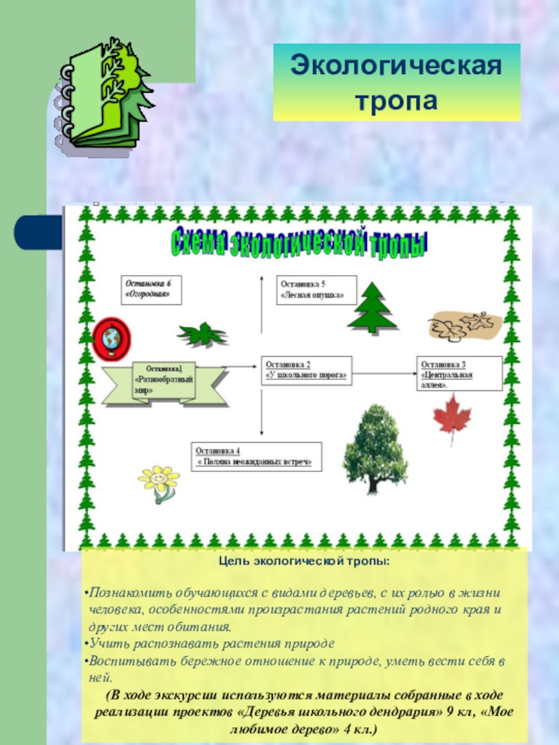 Схема экологической тропы