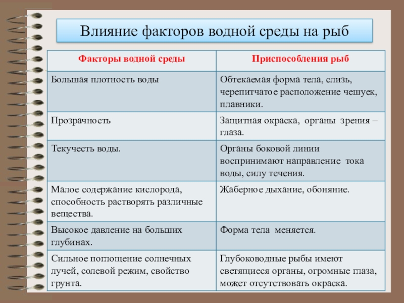 Приспособленность рыб к жизни