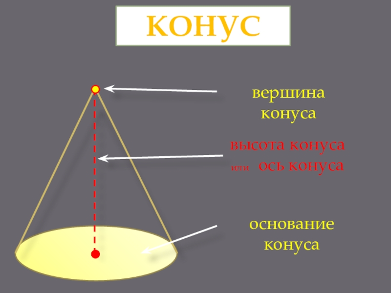 Вершина конуса. На высоте конуса на вершине а. Ось конуса. Основание конуса.