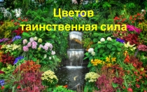 Проект по ознакомлению с окружающим миром в средней группе Цветов таинственная сила.