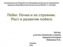 Презентация по биологии Побег. Почки и их строение. Рост и развитие побега