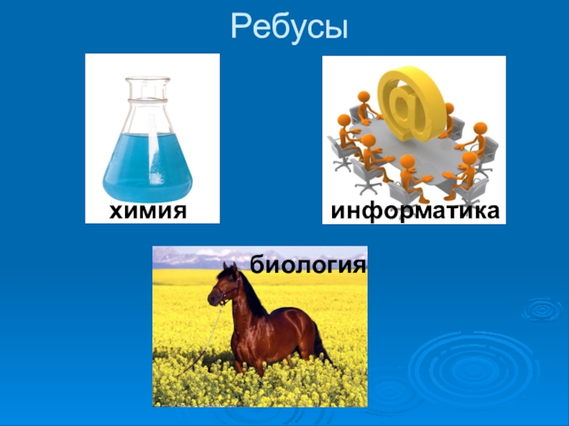 Презентация по биологии интеллект