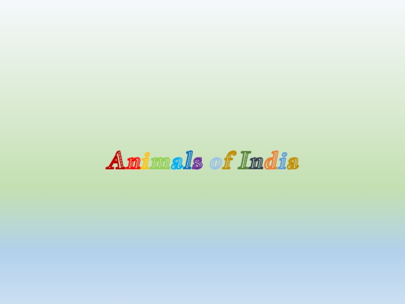 Animals of India
