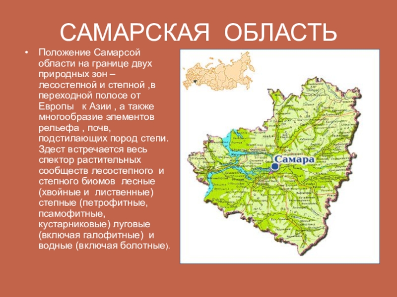 Территория самарской области расположена на. Карта почв Самарской области. Природные зоны Самарской области. Рельеф Самарской области. Сообщение о Самарской области.