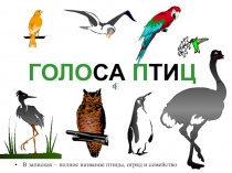 Презентация к уроку биологии Голоса птиц