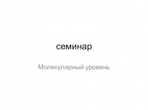 ПрезентацияСеминар по молекулярной
