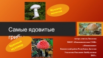 Презентация Самые ядовитые грибы (для учащихся 7 классов)
