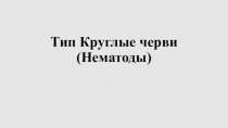 Презентация по биологии 7 класс тема: Круглые черви(нематоды)