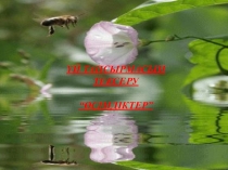 Жануарлардың алуан түрлілігі тақырыбына презентациясы.