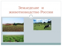 Агропромышленный комплекс России