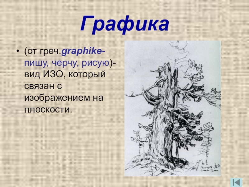 Презентация на тему графика как вид изобразительного искусства