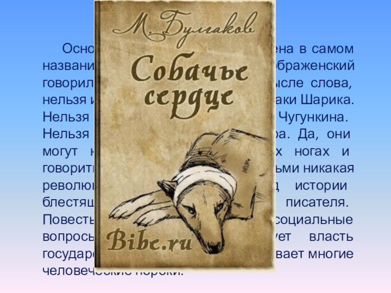 У шарикова человеческое или собачье сердце сочинение